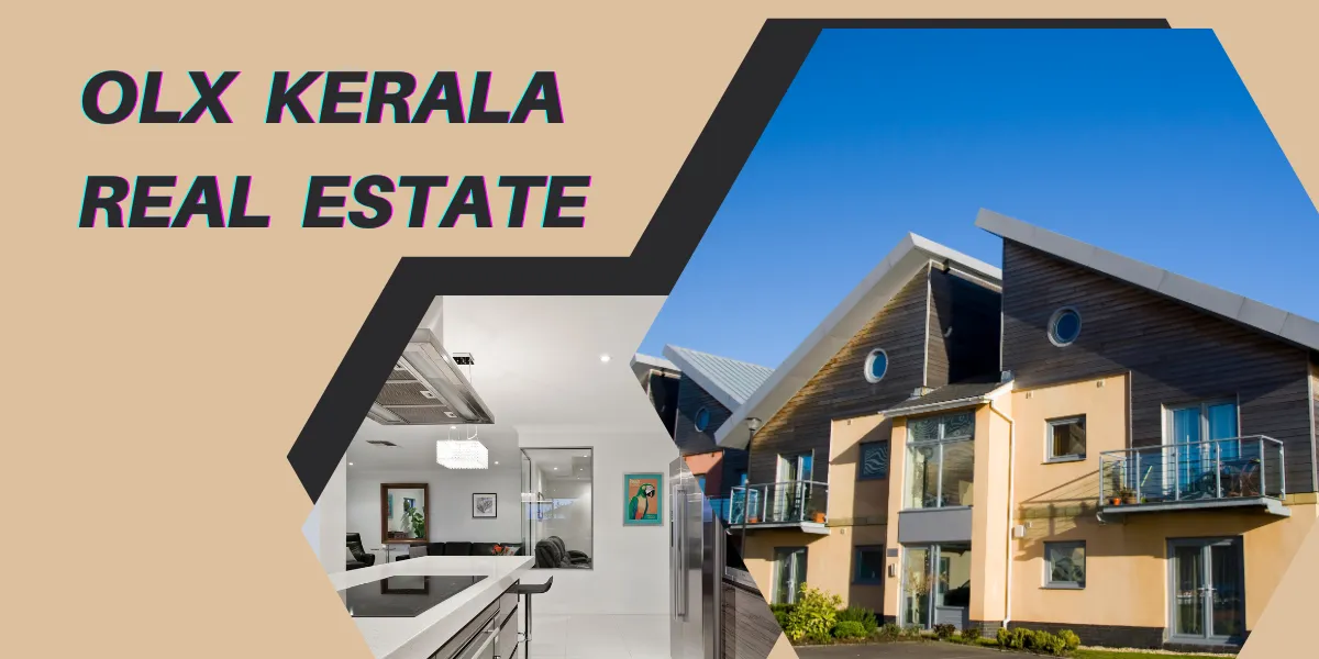 olx kerala real estate (1)