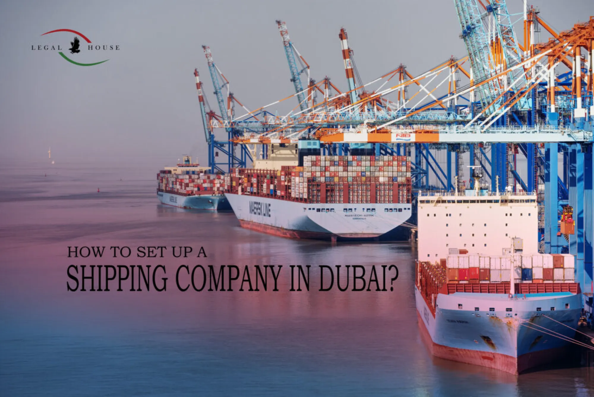 Cargo Services in Ajman: Your Guide to Efficient Shipping