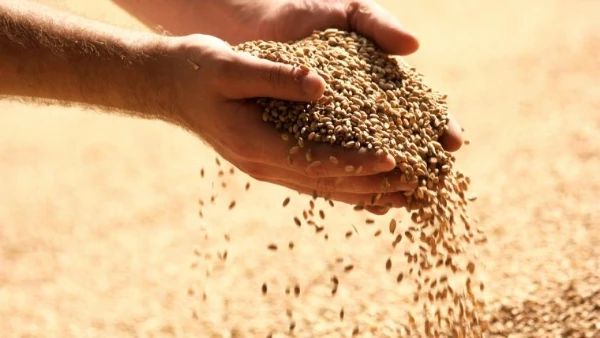 Major Importers And Their Feed Industry Trends